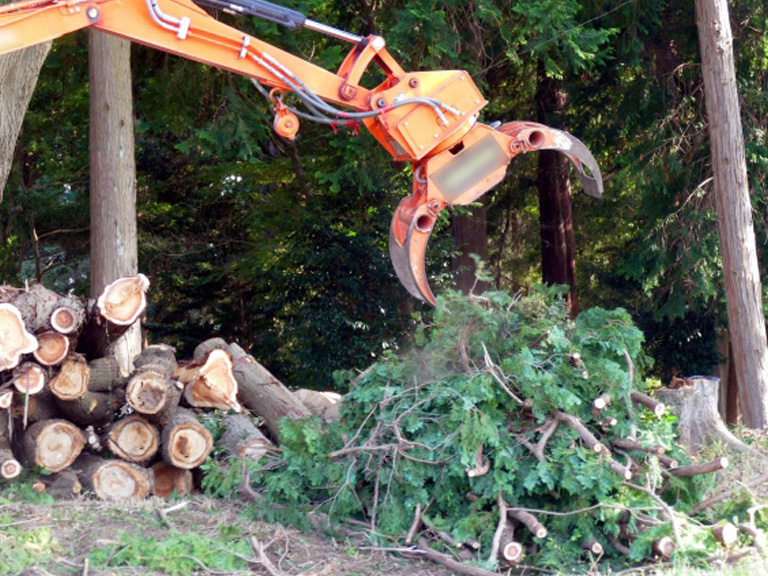 木材伐採業務